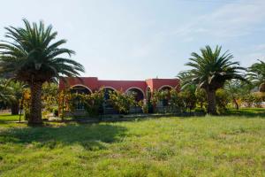 Helen's House - quiet lifestyle, natural landscape Corfu Greece