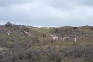 Studio South Beach with garden and free parking