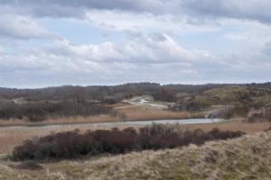 Studio South Beach with garden and free parking