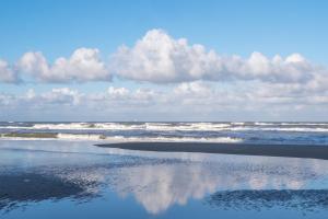 Studio South Beach with garden and free parking