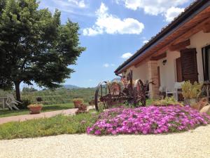 Masseria Spadone img8