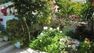 G. Sandalis Hotel Samos Greece