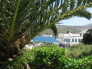 Anna Studio Amorgos Greece