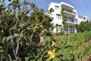 Mimas Garden Apartments