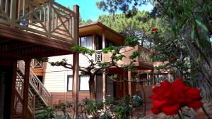 Appart'hotels Residence Les Pins : photos des chambres