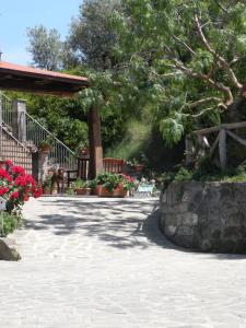 Agriturismo LOlivara