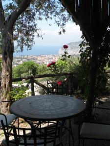 Agriturismo LOlivara