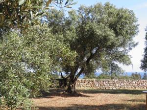 Il Giardino del Fauno