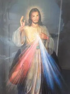 Divine Mercy B&B - Shanaghy