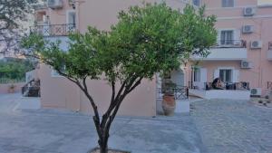 Doras Zante Studios & Apartments Zakynthos Greece