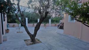 Doras Zante Studios & Apartments Zakynthos Greece