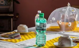 Margherita Friendly house - Strozza