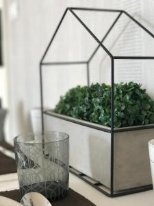 Stay in Style at Oasis