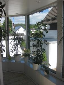 Pension Pension Haus Schnittler Medebach Germany