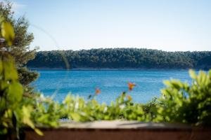 Hotel Villa Barbat