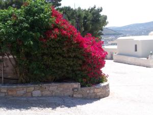 Krotiri Bay Paros Greece