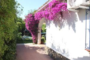 Villa Melger - Private Villa with Swimming pool