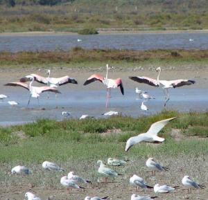 Maisons de vacances Chez Catherine : photos des chambres