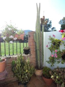 Apartamentos Las Juanas