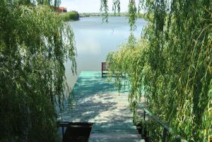 Lacul Racilor