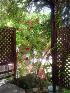 Charming Maisonette Halkidiki Greece