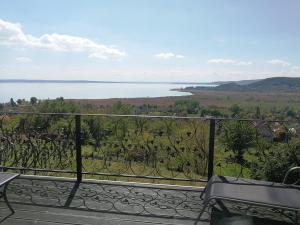 Ferienhaus Panoráma Ház Badacsonytördemic Ungarn