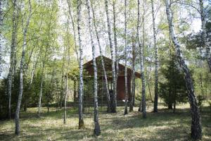 Chata Cozy remote cabin on a lakeshore Kučiūnai Litva