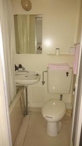 Business Hotel Century