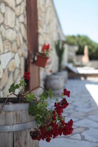 Paxos Santa Marina Villas