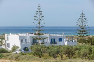 Villa Adriana Hotel Naxos Greece