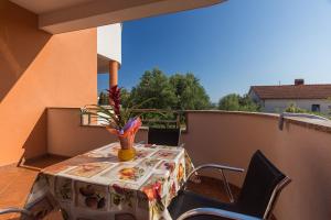 One-Bedroom Apartment room in Apartment Bella Vista 2