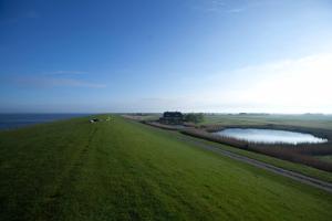 Tede Warft Freistehend am Deich mit Sauna