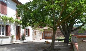 Maison hôtes Pacelian photo 12
