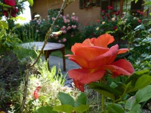 B&B The Roses Garden