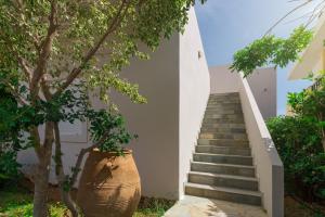 Driades Apartments Lasithi Greece