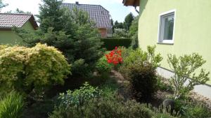 Apartmenthaus Reichelt