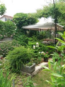 Stai Za Gosti Venera