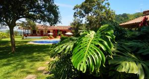 Hacienda Venecia Coffee Farm Hotel