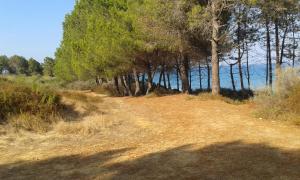 Appartements Les jardins de la mer marine de bravone - pour 4 pax plus 2 enfants piscine cote mer : photos des chambres