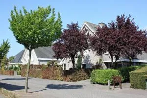Magnolia appartement - Elshout Magnolia appartement - Elshout