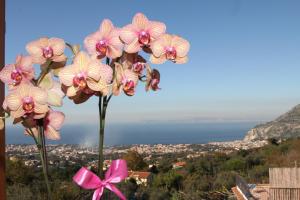 Suite King con Vista Mare