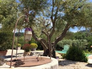 B&B / Chambres d'hotes Bastide de Fontvieille : photos des chambres