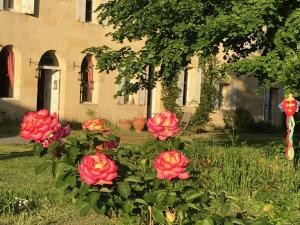 B&B / Chambres d'hotes B&B Chateau Pierre de Lune : photos des chambres