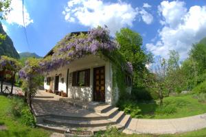 1 stern appartement Apartma Bel Žaga Slowenien