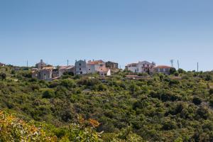 Hilltop Apartment Vidovici