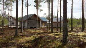 Ahmalammen mökkikylä