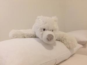 Appartement La Tanière de l'Ours Blanc Aubagne-Cassis-Aix en Provence Aubagne France