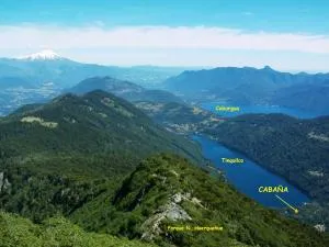 Cabaña Tinquilco - Collentañe