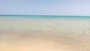 Le lagon de Hammamet - Hammamet