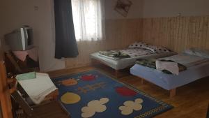 Pension Zamolxe